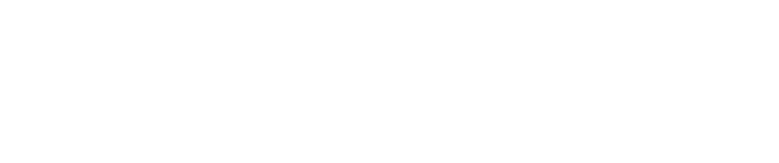 parner logo