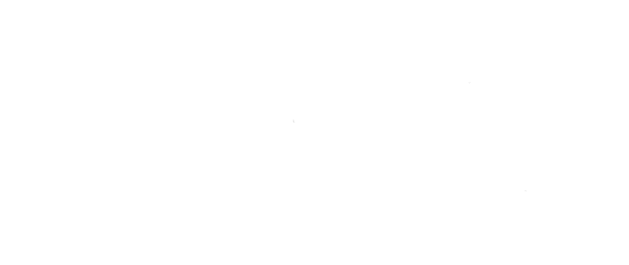 parner logo