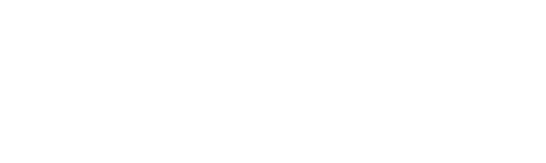 parner logo